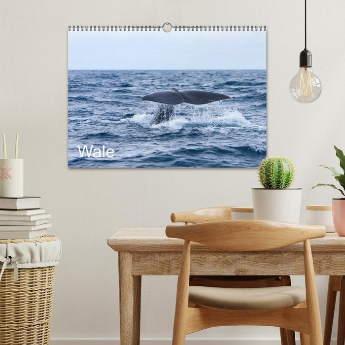 Wale (CALVENDO Wandkalender 2027)