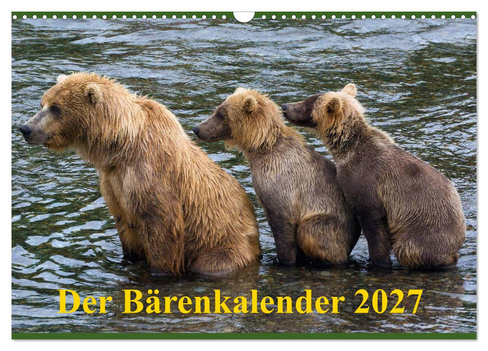 Der Bärenkalender 2027 CH-Version (CALVENDO Wandkalender 2027)