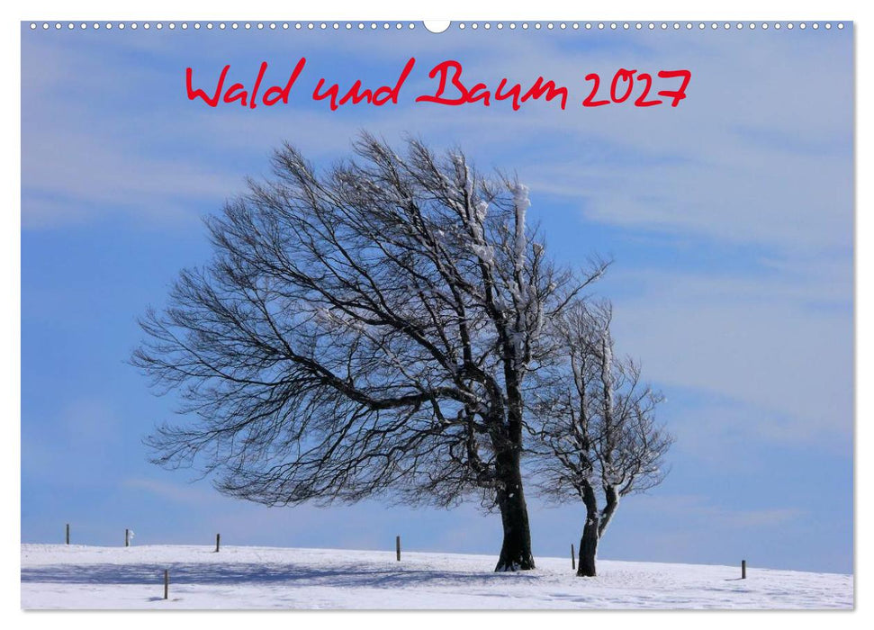 Wald und Baum 2027 (CALVENDO Wandkalender 2027)