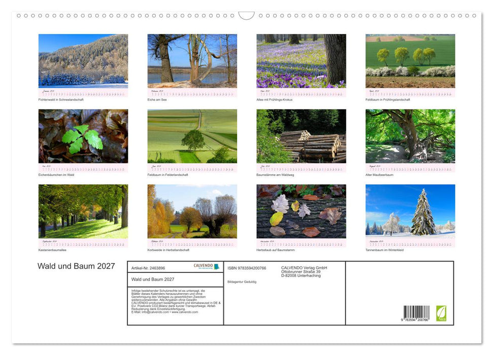 Wald und Baum 2027 (CALVENDO Wandkalender 2027)