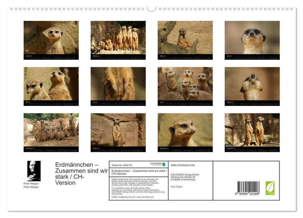 Erdmännchen – Zusammen sind wir stark / CH-Version (CALVENDO Premium Wandkalender 2027)