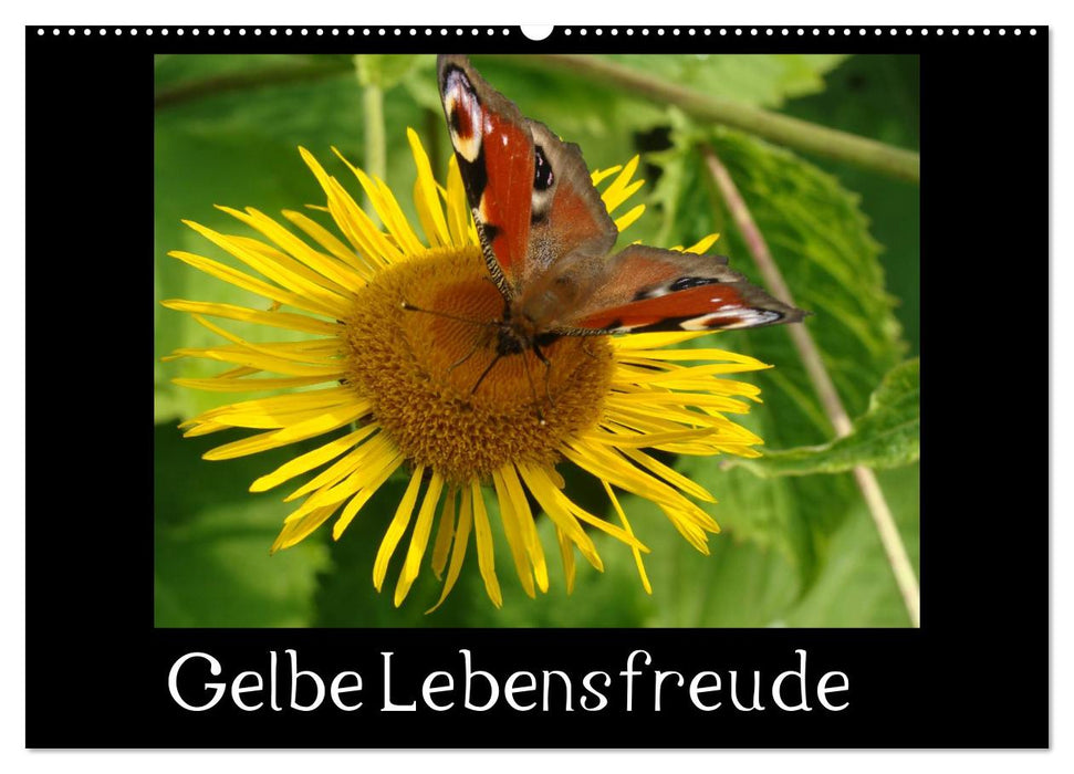 Gelbe Lebensfreude (CALVENDO Wandkalender 2027)