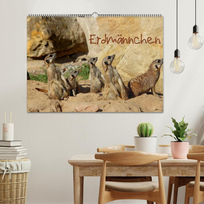 Erdmännchen (CALVENDO Wandkalender 2027)
