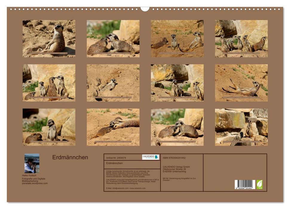 Erdmännchen (CALVENDO Wandkalender 2027)