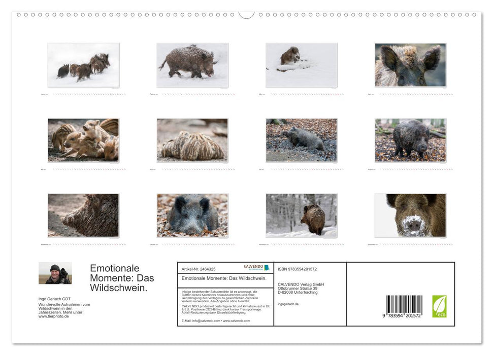 Emotionale Momente: Das Wildschwein. (CALVENDO Premium Wandkalender 2027)