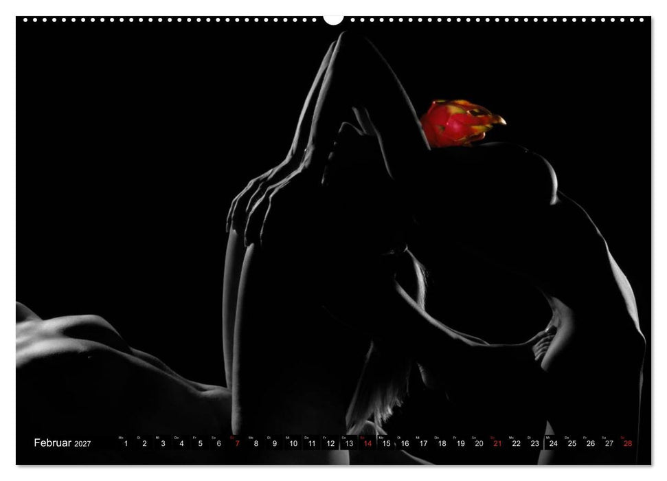 Fruit Nudes 2027 (CALVENDO Premium Wandkalender 2027)