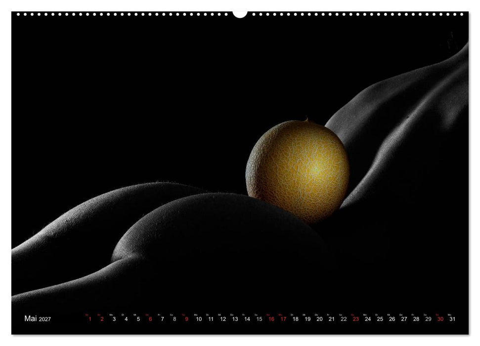 Fruit Nudes 2027 (CALVENDO Premium Wandkalender 2027)