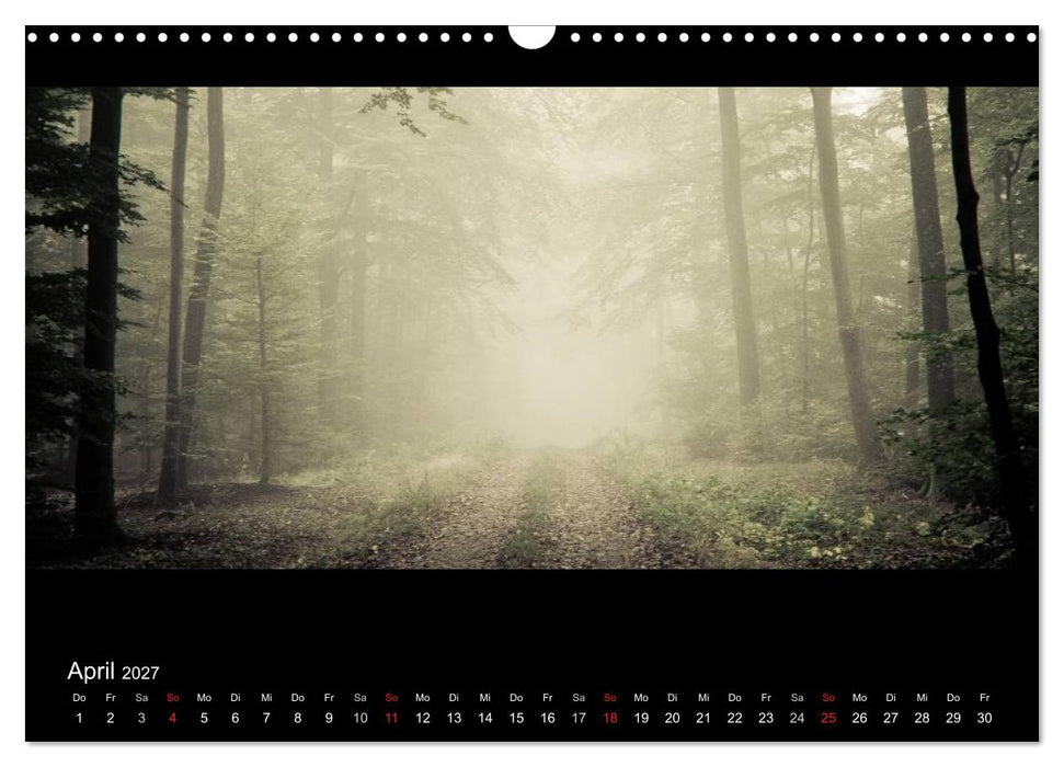NEBEL (CALVENDO Wandkalender 2027)