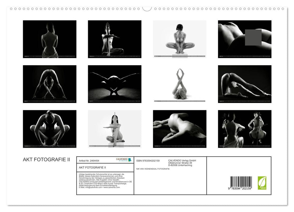 AKT FOTOGRAFIE II (CALVENDO Premium Wandkalender 2027)