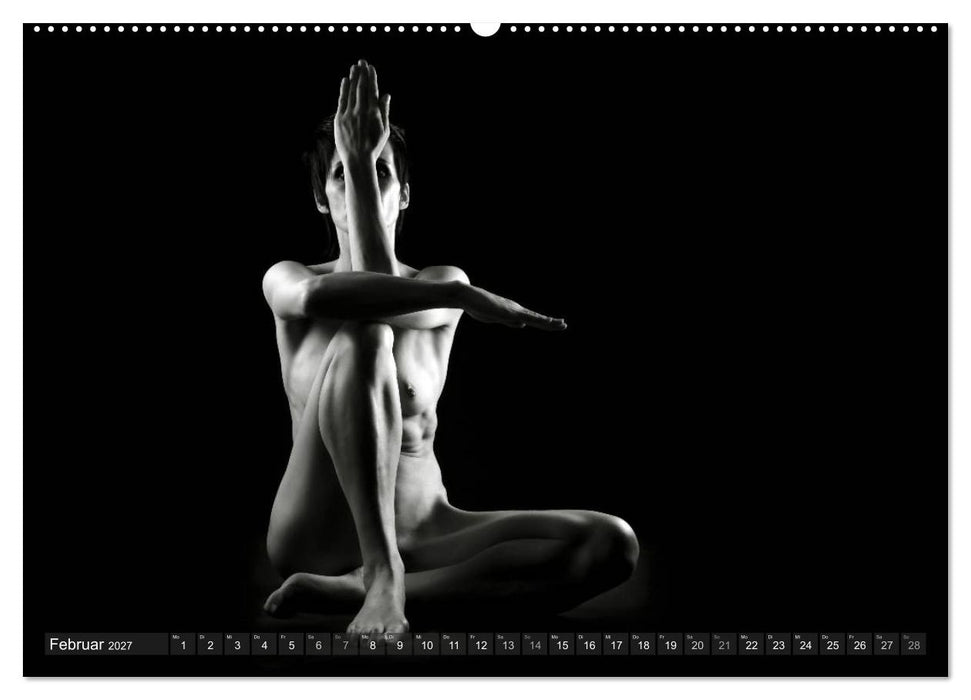 AKT FOTOGRAFIE II (CALVENDO Premium Wandkalender 2027)
