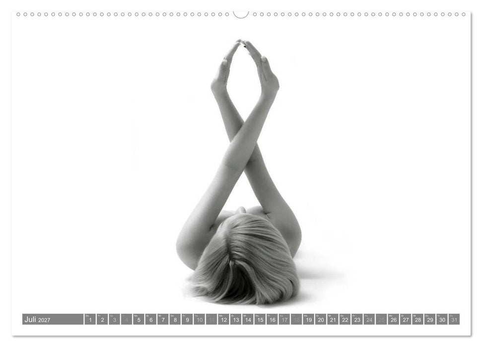 AKT FOTOGRAFIE II (CALVENDO Premium Wandkalender 2027)