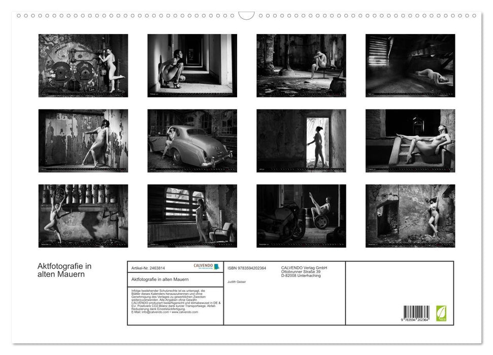 Aktfotografie in alten Mauern (CALVENDO Wandkalender 2027)