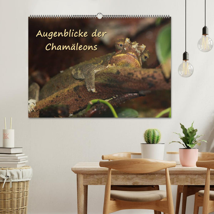 Augenblicke der Chamäleons (CALVENDO Wandkalender 2027)