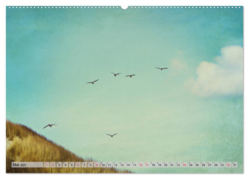 AMRUM Art (CALVENDO Premium Wandkalender 2027)