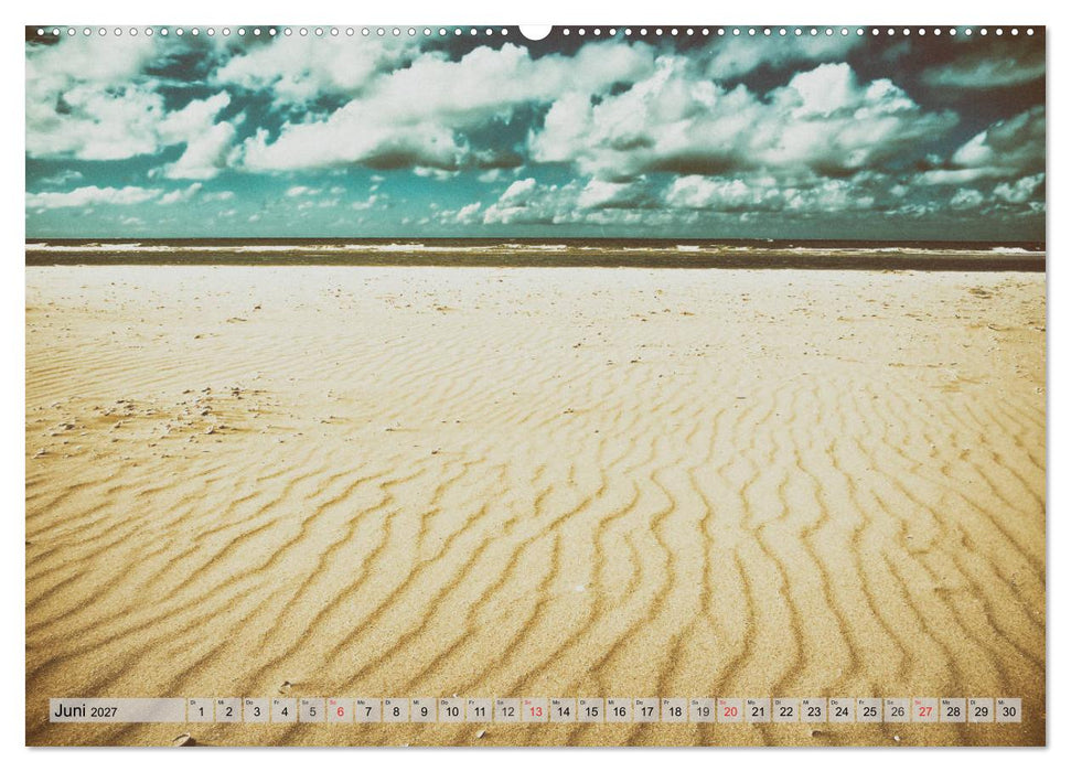AMRUM Art (CALVENDO Premium Wandkalender 2027)