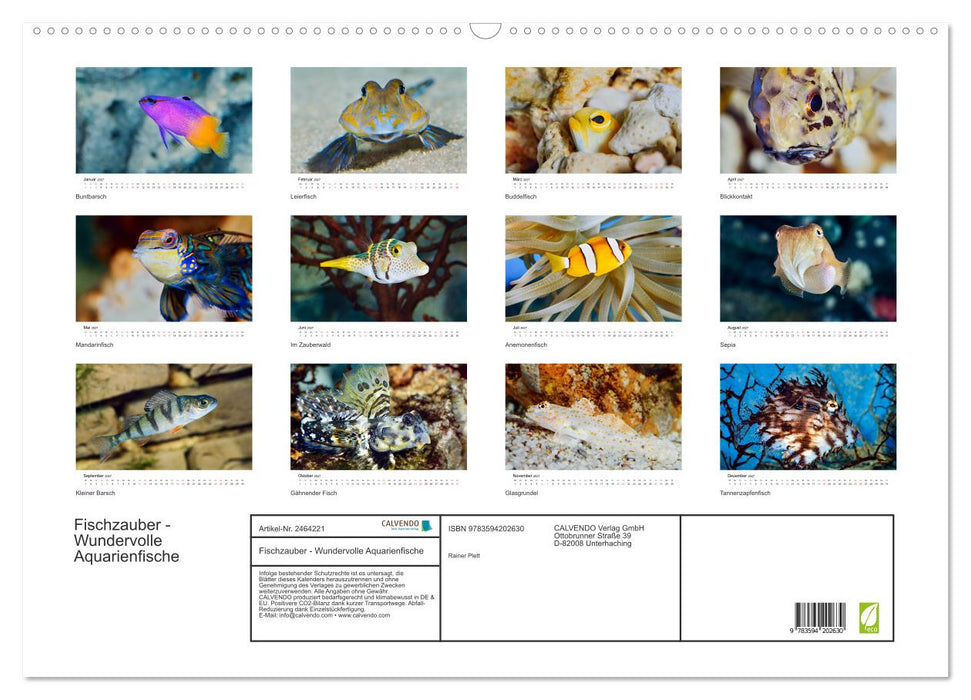 Fischzauber - Wundervolle Aquarienfische (CALVENDO Wandkalender 2027)