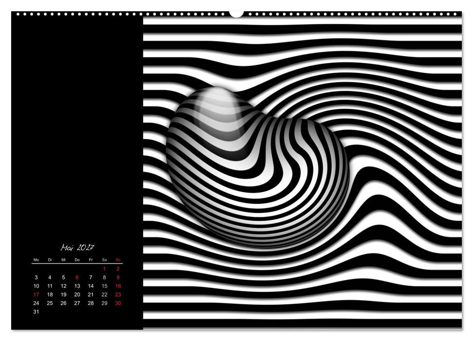 Schwarz trifft Weiß (CALVENDO Premium Wandkalender 2027)