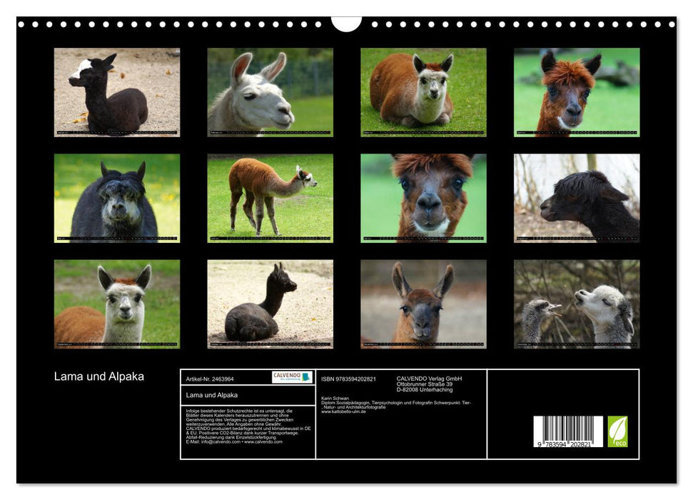 Lama und Alpaka (CALVENDO Wandkalender 2027)