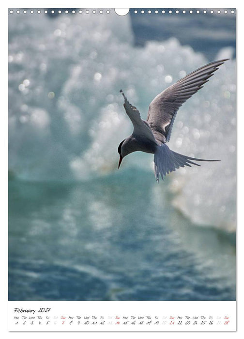 Iceland Calendar 2027 - Discover unique nature - UK Version (CALVENDO Monthly Calendar 2027)