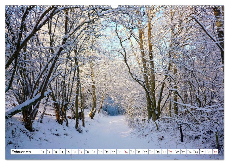 Traumhafte Wege durch die Eifel (CALVENDO Wandkalender 2027)