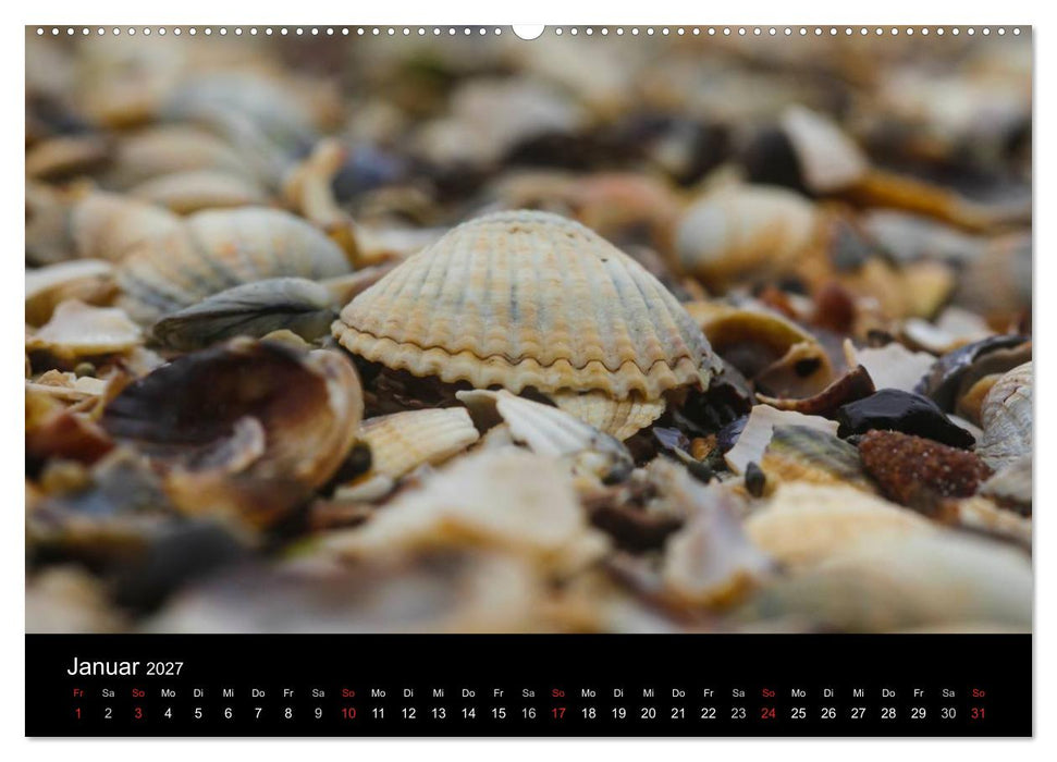 NORDSEE IMPRESSIONEN (CALVENDO Premium Wandkalender 2027)