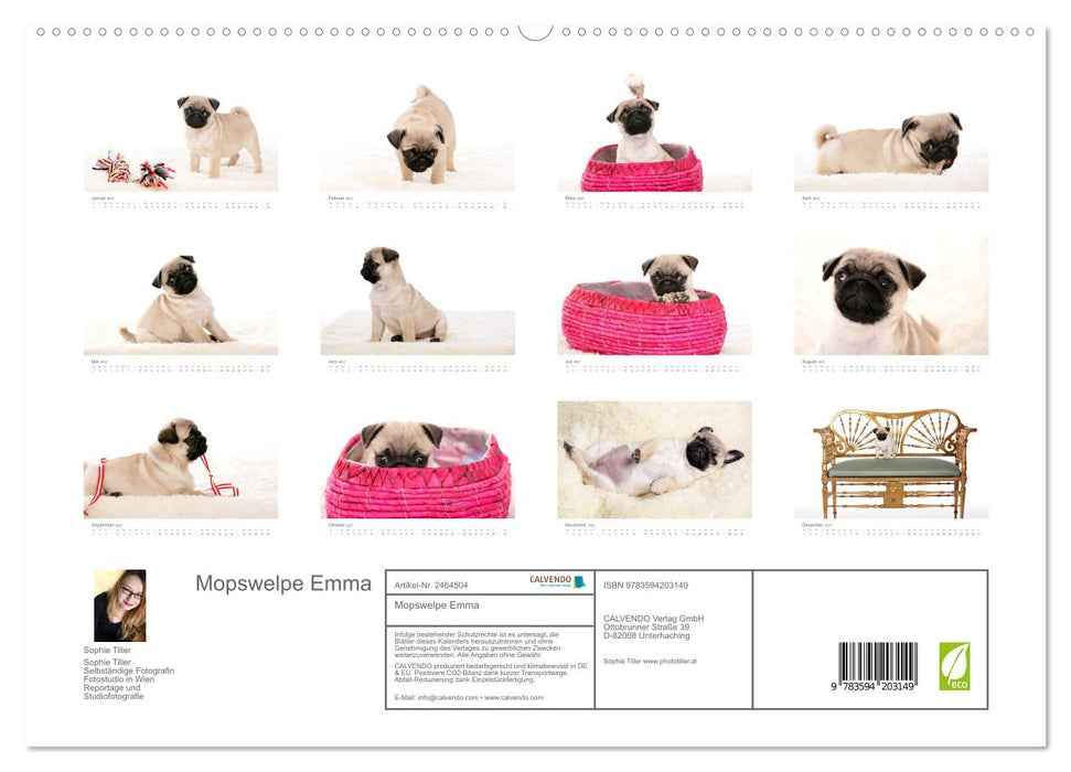 Mopswelpe Emma (CALVENDO Premium Wandkalender 2027)