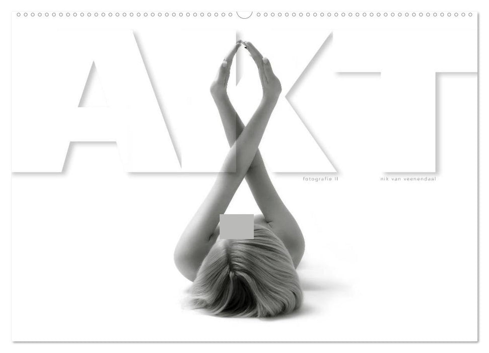 AKT FOTOGRAFIE II (CALVENDO Wandkalender 2027)