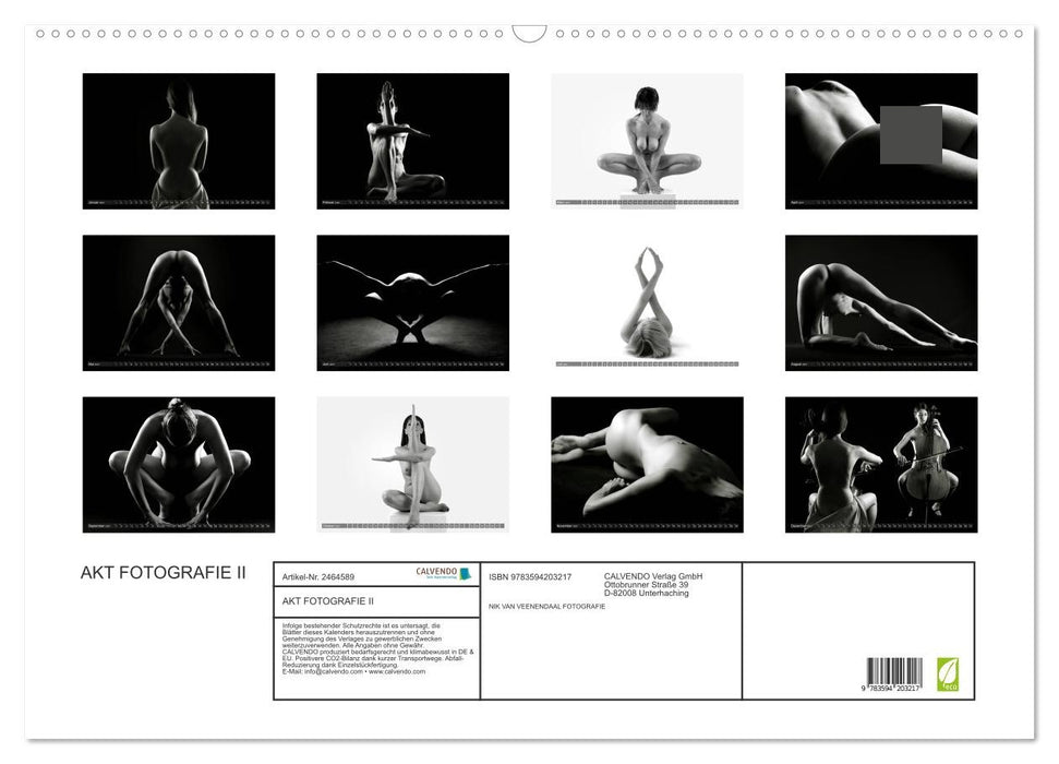 AKT FOTOGRAFIE II (CALVENDO Wandkalender 2027)