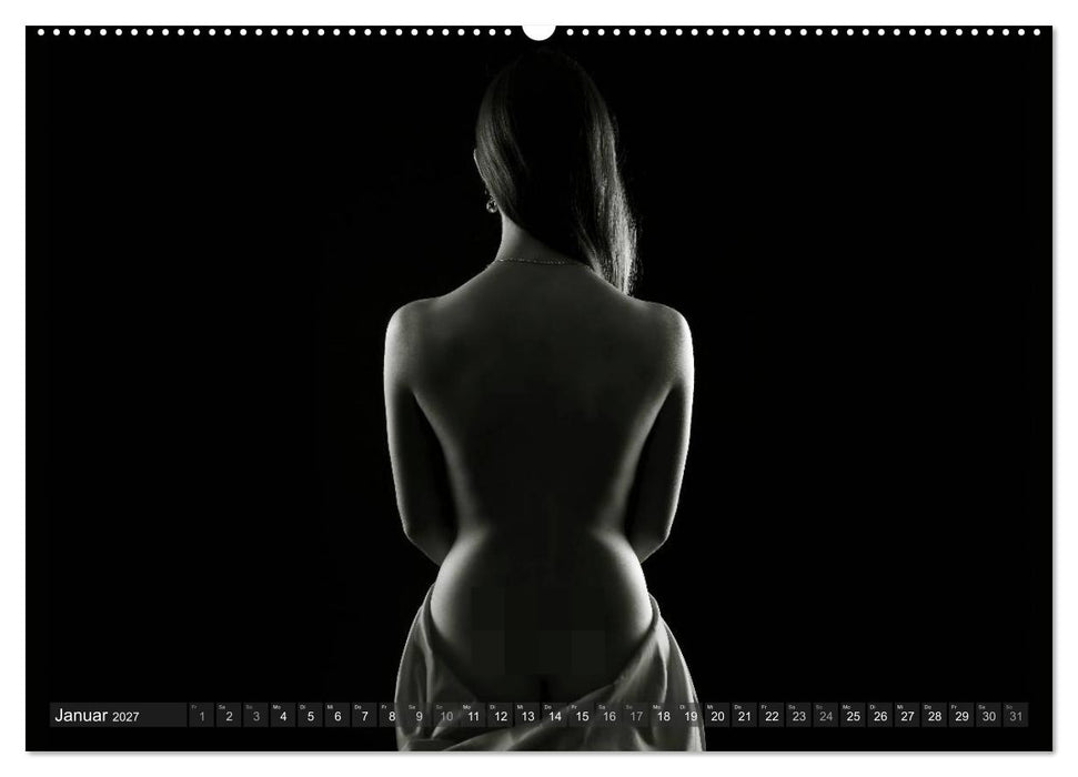 AKT FOTOGRAFIE II (CALVENDO Wandkalender 2027)