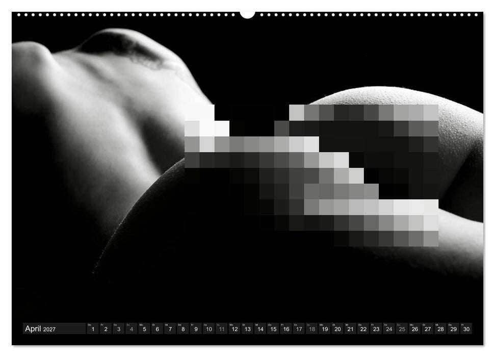 AKT FOTOGRAFIE II (CALVENDO Wandkalender 2027)