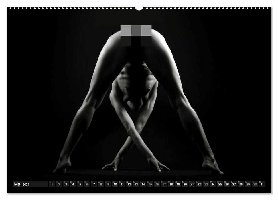 AKT FOTOGRAFIE II (CALVENDO Wandkalender 2027)