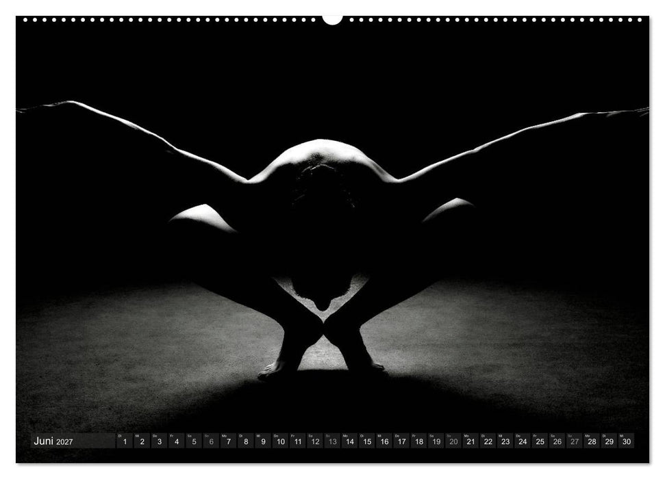 AKT FOTOGRAFIE II (CALVENDO Wandkalender 2027)