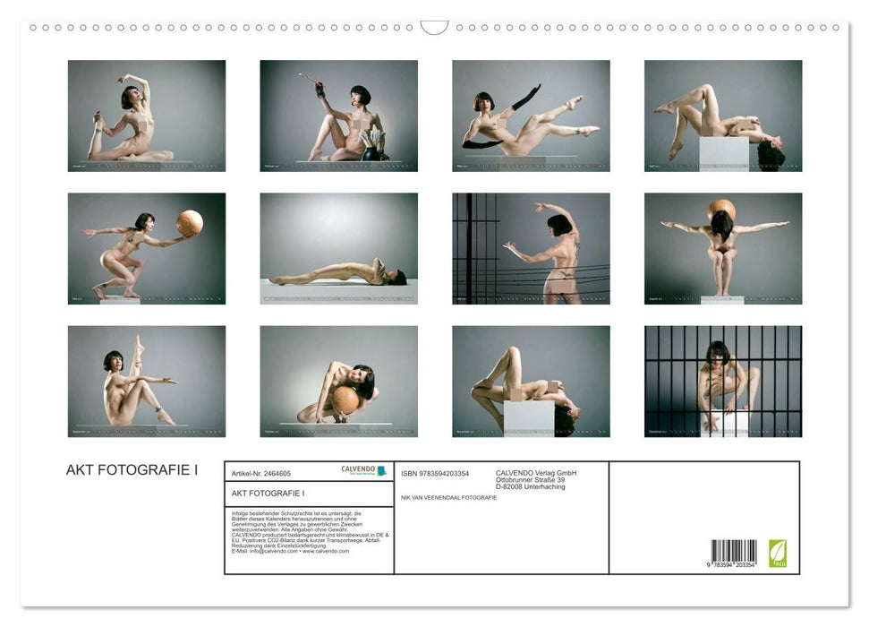 AKT FOTOGRAFIE I (CALVENDO Wandkalender 2027)