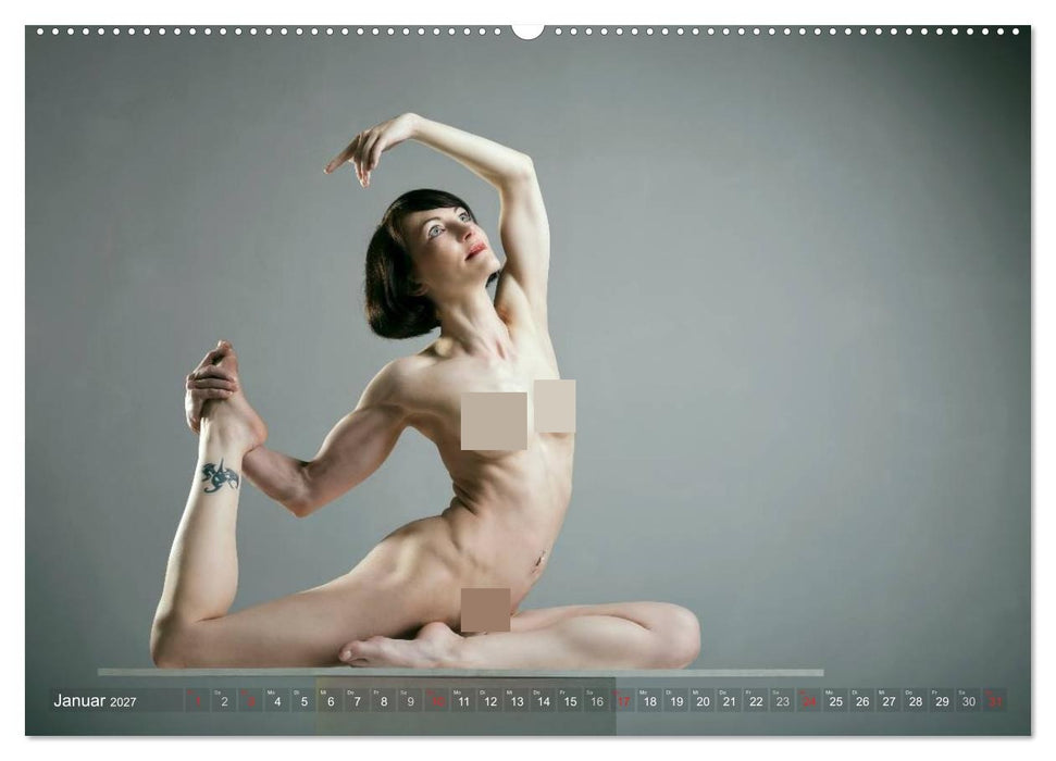 AKT FOTOGRAFIE I (CALVENDO Wandkalender 2027)