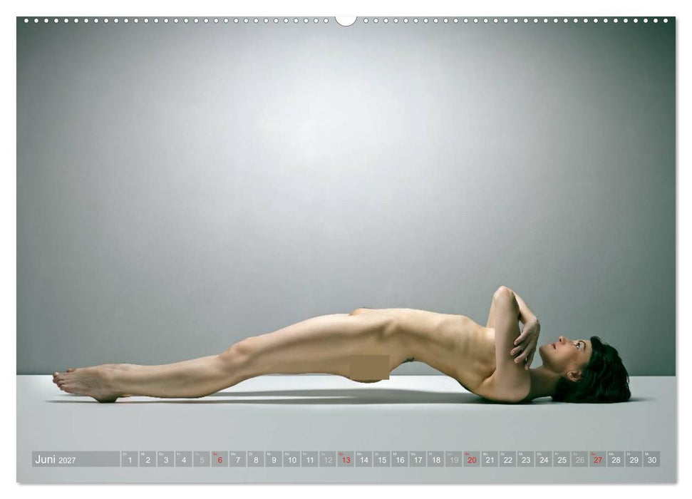AKT FOTOGRAFIE I (CALVENDO Wandkalender 2027)