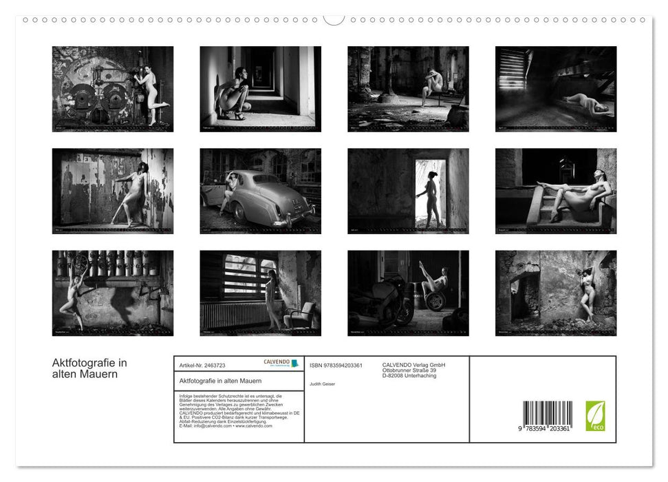 Aktfotografie in alten Mauern (CALVENDO Premium Wandkalender 2027)