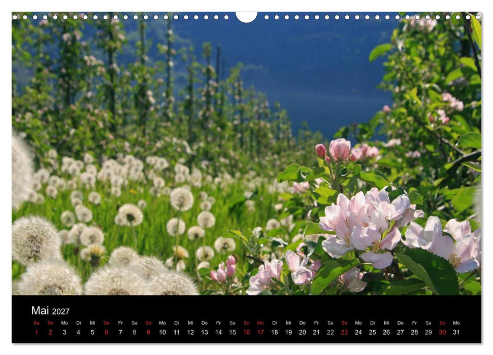 Norwegen 2027 (CALVENDO Wandkalender 2027)