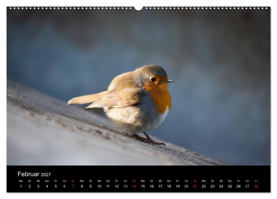 Tierkalender 2027 (CALVENDO Wandkalender 2027)
