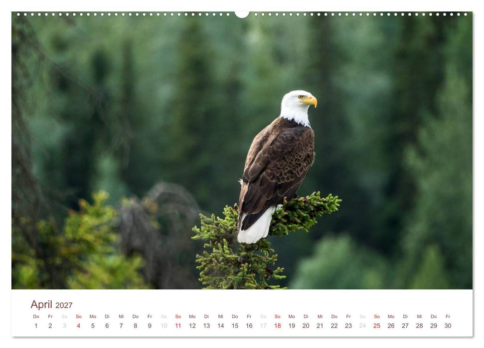 Der Alaska Kalender CH-Version (CALVENDO Premium Wandkalender 2027)
