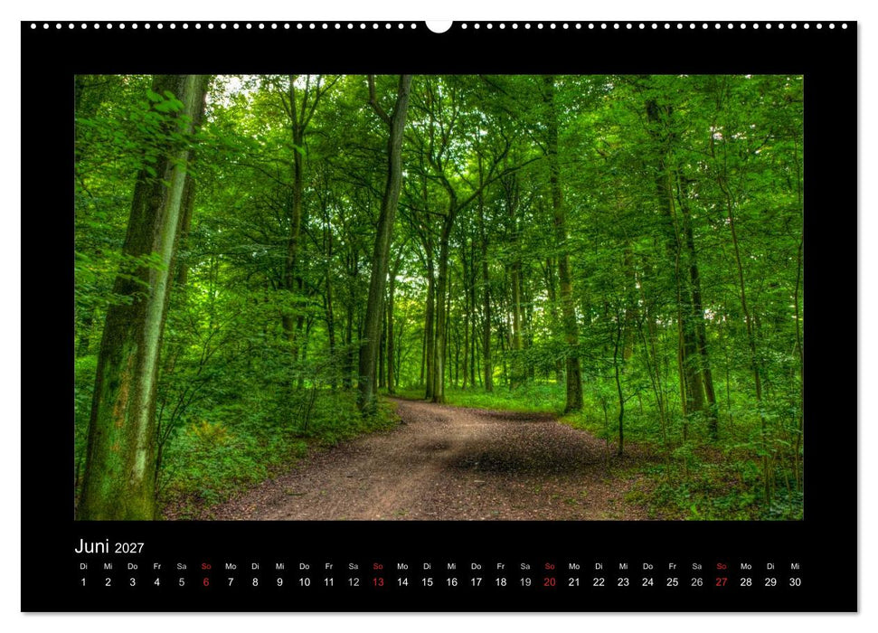 Landschaften im besonderen Licht (CALVENDO Wandkalender 2027)