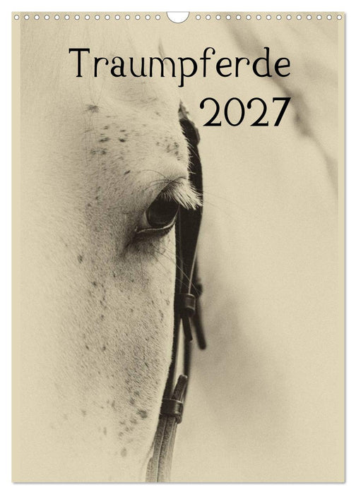 Traumpferde 2027 (CALVENDO Wandkalender 2027)