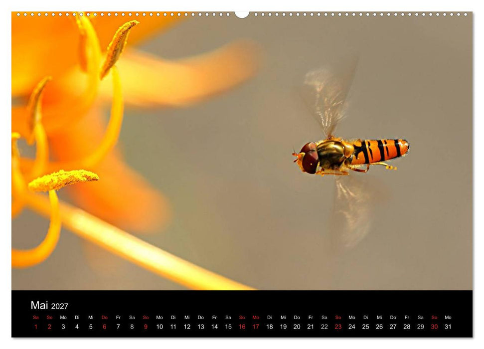 Makro-Kalender 2027 (CALVENDO Wandkalender 2027)