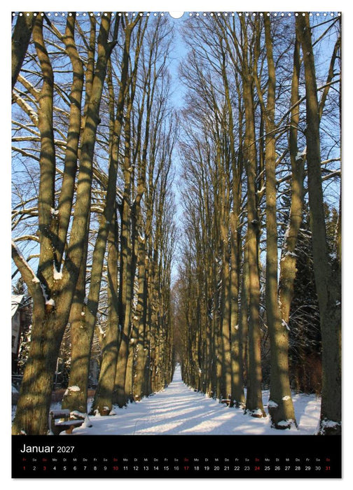 Spaziergang durch Bad Pyrmont (CALVENDO Wandkalender 2027)