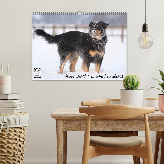 Hovawarte - einmal anders (CALVENDO Wandkalender 2027)
