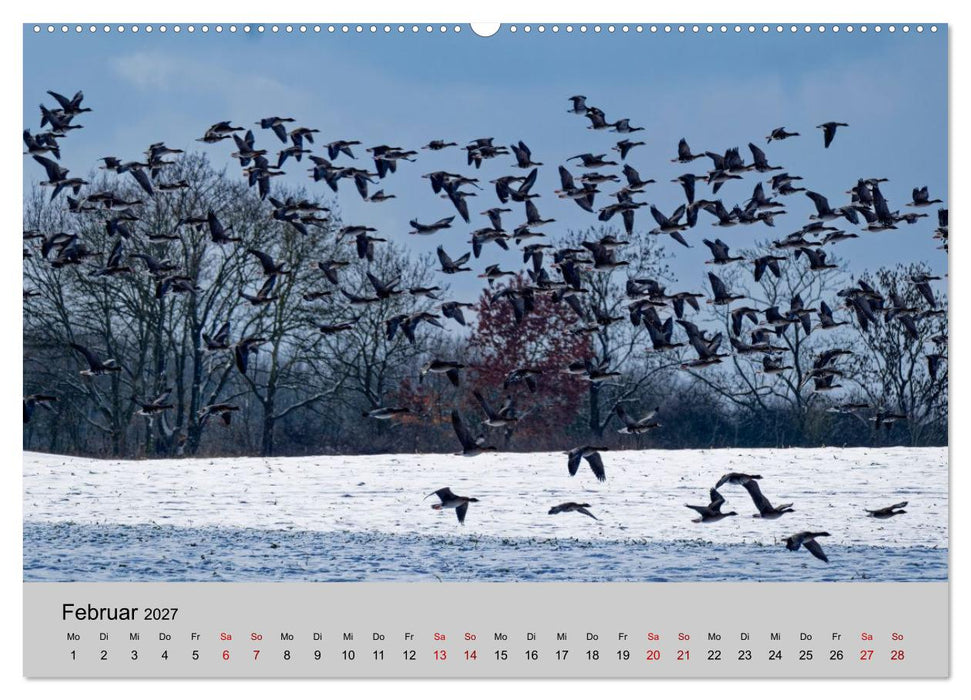Biosphärenreservat Schaalsee (CALVENDO Premium Wandkalender 2027)