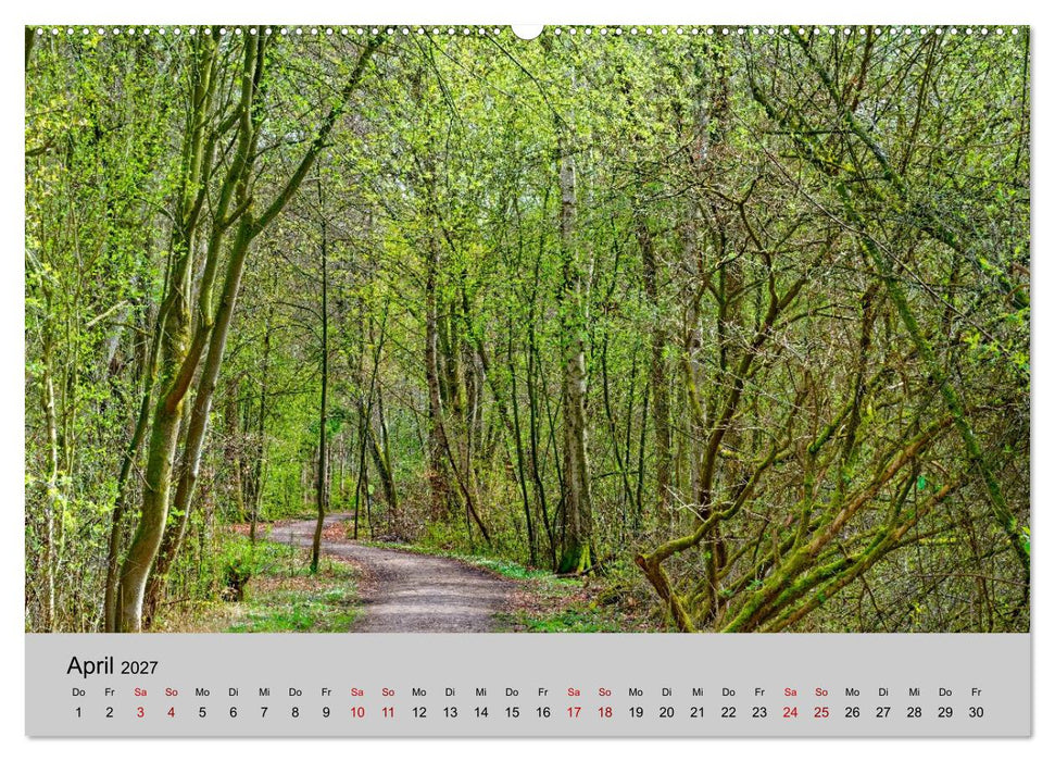 Biosphärenreservat Schaalsee (CALVENDO Premium Wandkalender 2027)