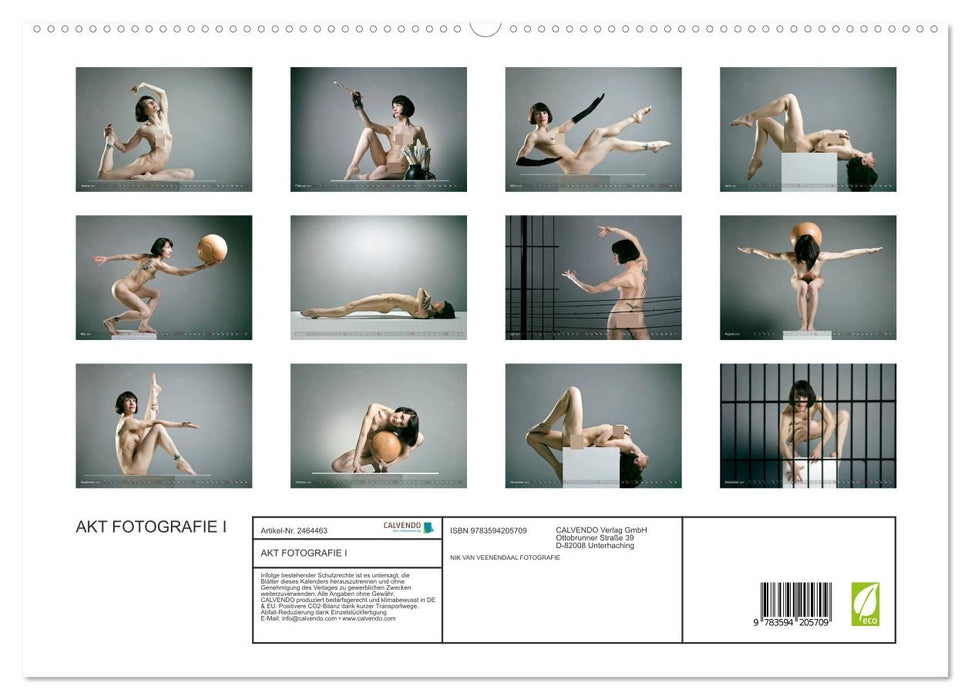 AKT FOTOGRAFIE I (CALVENDO Premium Wandkalender 2027)