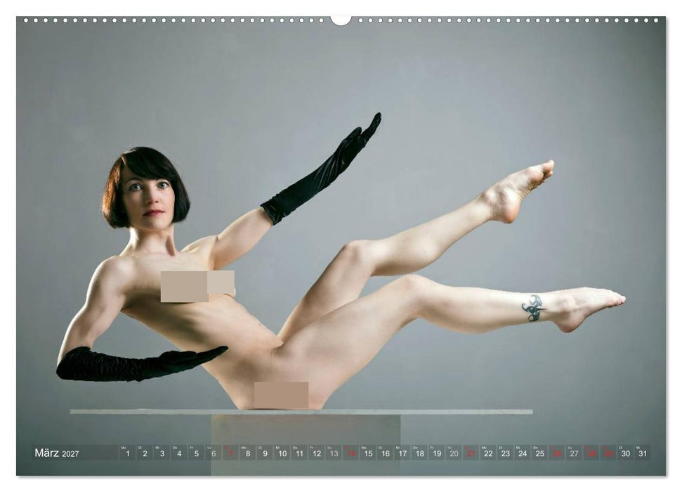 AKT FOTOGRAFIE I (CALVENDO Premium Wandkalender 2027)