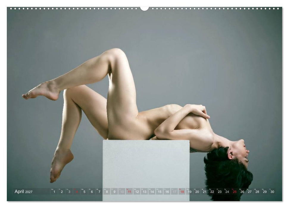 AKT FOTOGRAFIE I (CALVENDO Premium Wandkalender 2027)