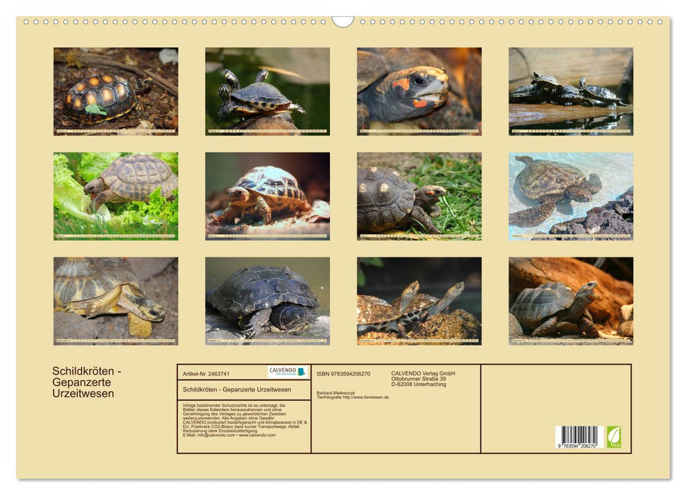 Schildkröten - Gepanzerte Urzeitwesen (CALVENDO Wandkalender 2027)